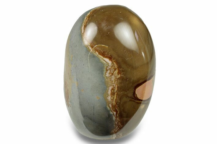 Free-Standing, Polished Polychrome Jasper - Madagascar #254818